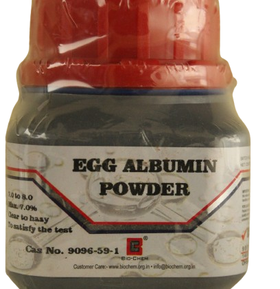 EGG ALBUMIN POWDER ( 500g )